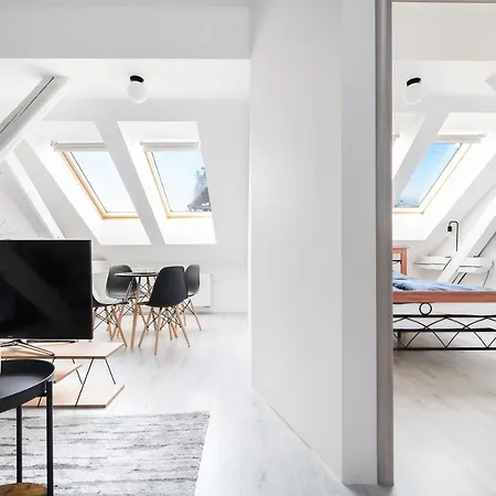 Stefanikova Violet * Brno